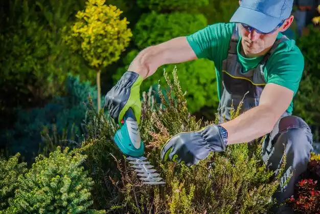 landscaping services Marksville